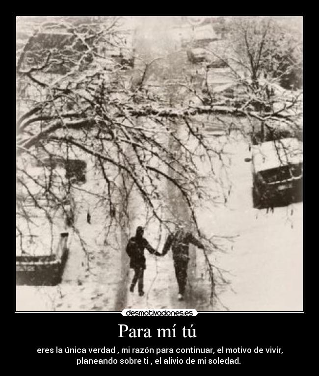 Para mí tú  - eres la única verdad , mi razón para continuar, el motivo de vivir,
planeando sobre ti , el alivio de mi soledad. 