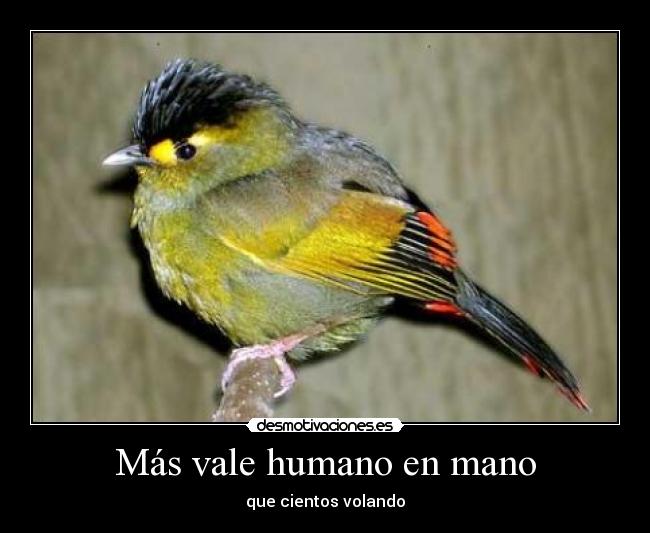 Más vale humano en mano - que cientos volando