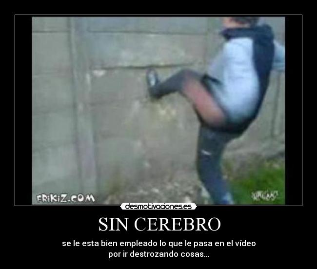 SIN CEREBRO -