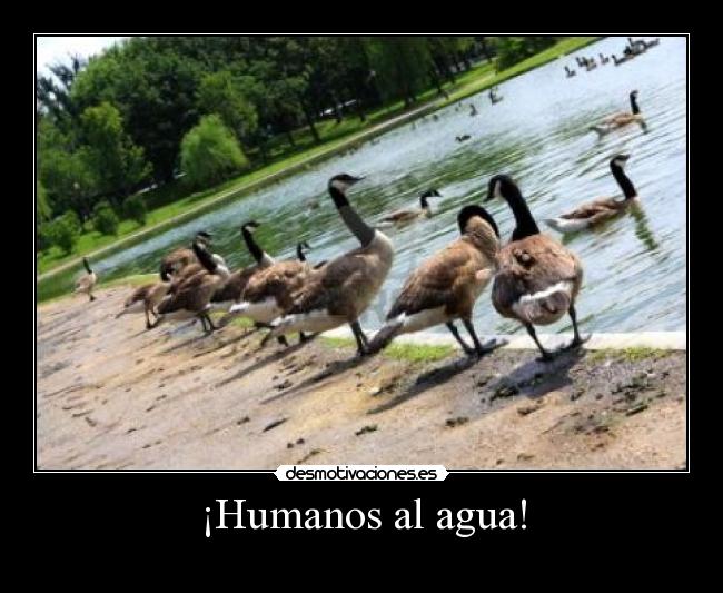 carteles nanito423 desmotivaciones