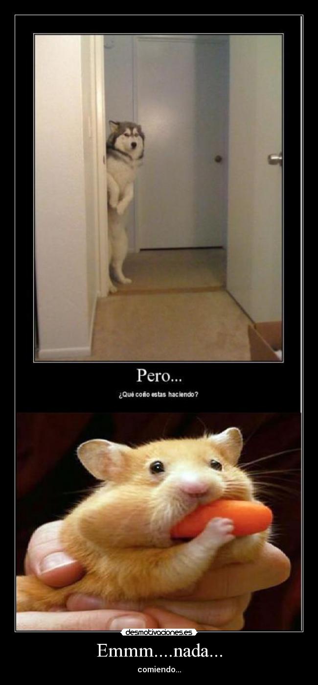 Emmm....nada... - comiendo...