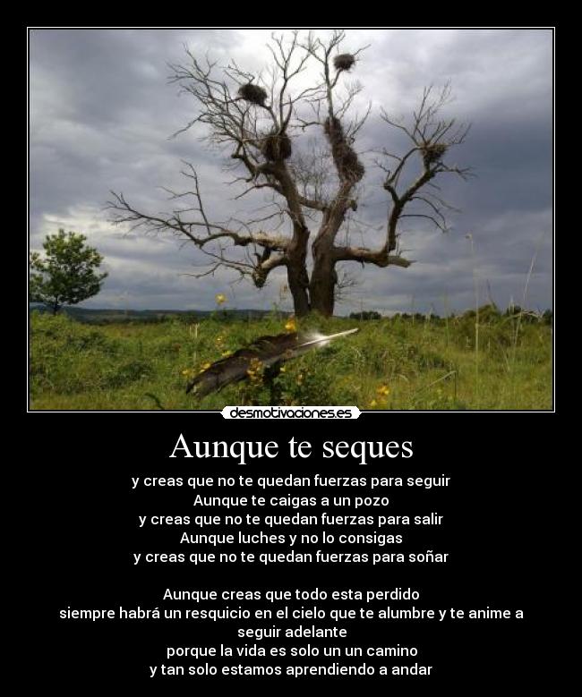 Aunque te seques - y creas que no te quedan fuerzas para seguir
Aunque te caigas a un pozo
y creas que no te quedan fuerzas para salir
Aunque luches y no lo consigas
y creas que no te quedan fuerzas para soñar

Aunque creas que todo esta perdido
siempre habrá un resquicio en el cielo que te alumbre y te anime a seguir adelante
porque la vida es solo un un camino
y tan solo estamos aprendiendo a andar