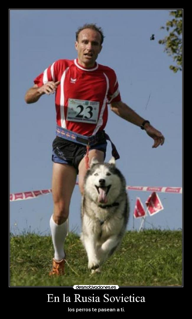 carteles rusia sovietica desmotivaciones