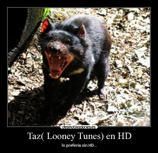 carteles axeo desmotivaciones