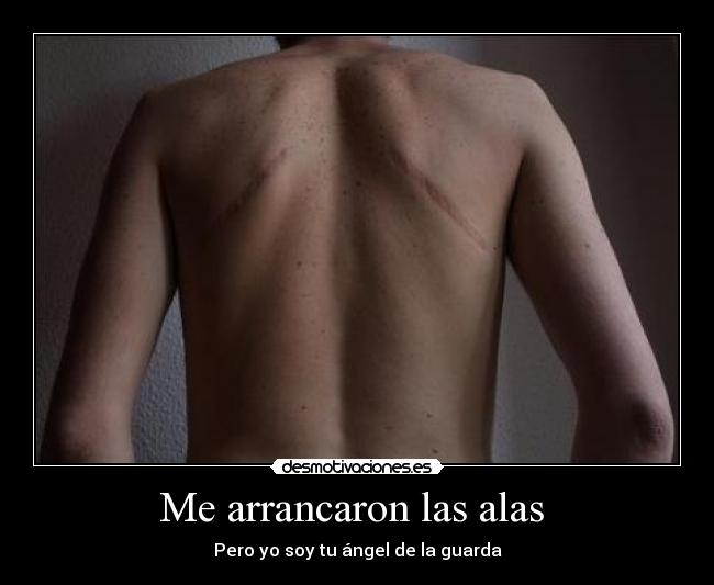 Me arrancaron las alas -