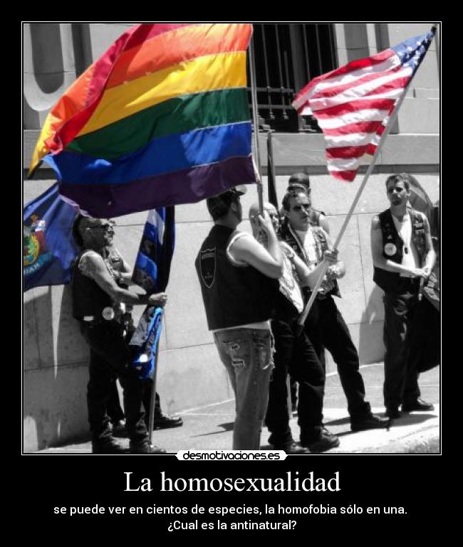 La homosexualidad -