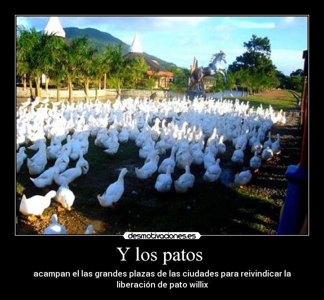 Y los patos -