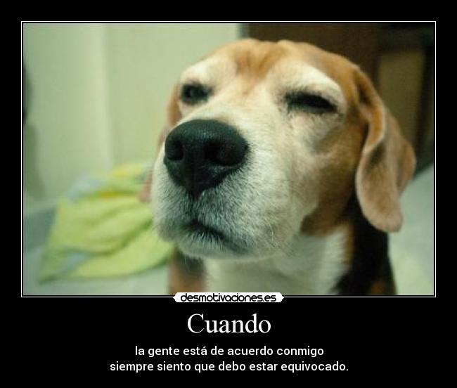 carteles perros desmotivaciones