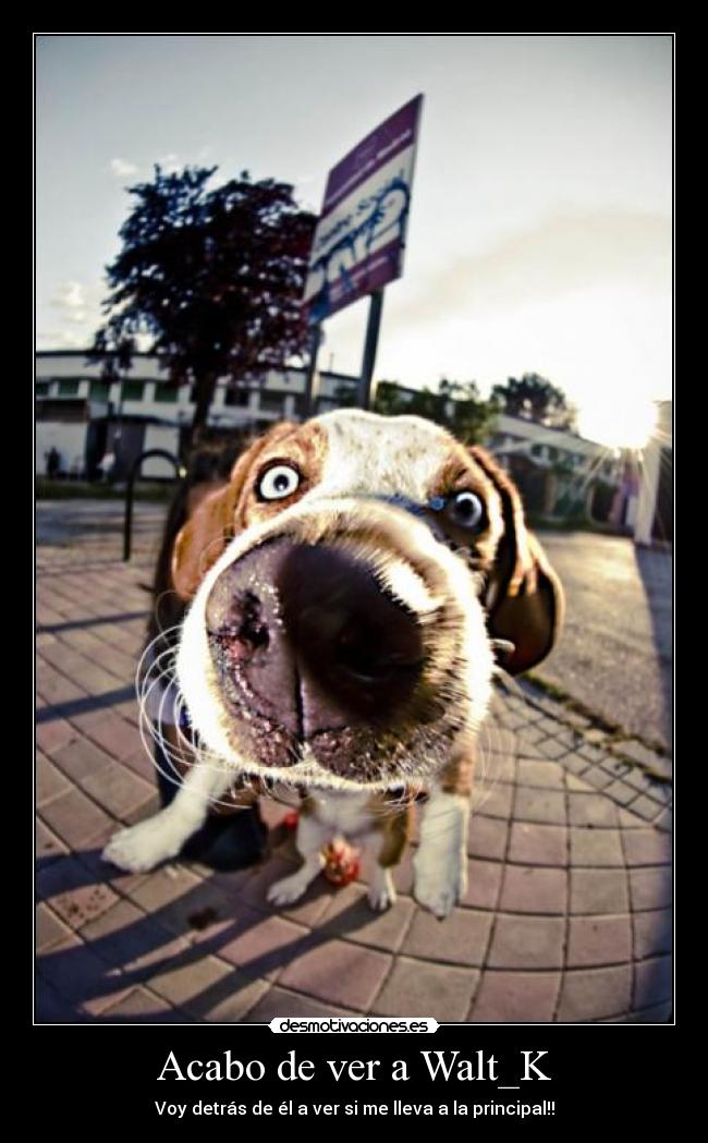 Acabo de ver a Walt_K -