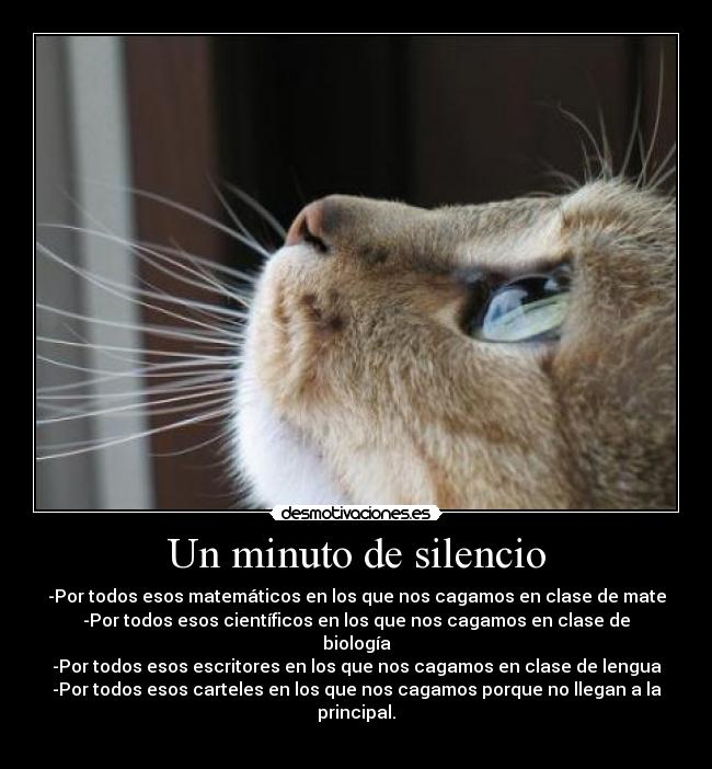 Un minuto de silencio -