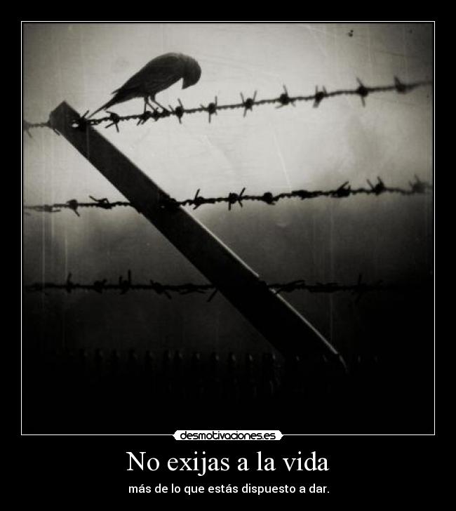 No exijas a la vida - más de lo que estás dispuesto a dar.