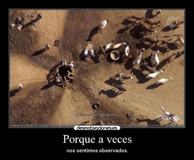 Porque a veces - nos sentimos observados.