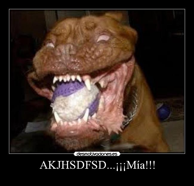 AKJHSDFSD...¡¡¡Mía!!! - 