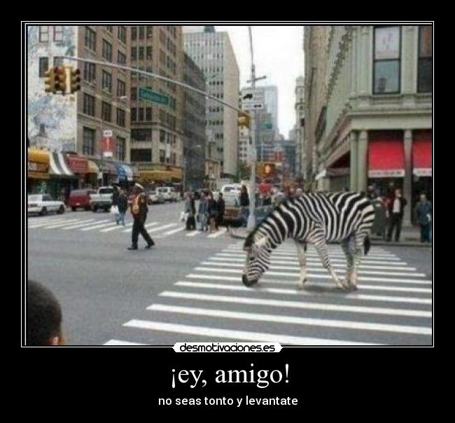 ¡ey, amigo! - no seas tonto y levantate
