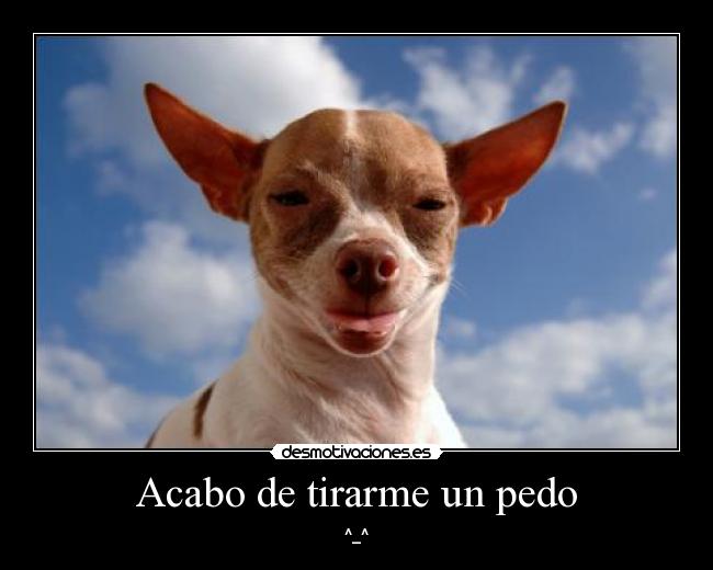 Acabo de tirarme un pedo -