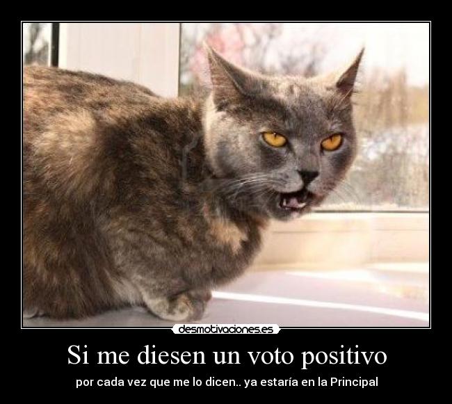 Si me diesen un voto positivo - por cada vez que me lo dicen.. ya estaría en la Principal