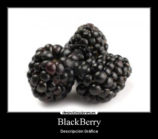 BlackBerry -