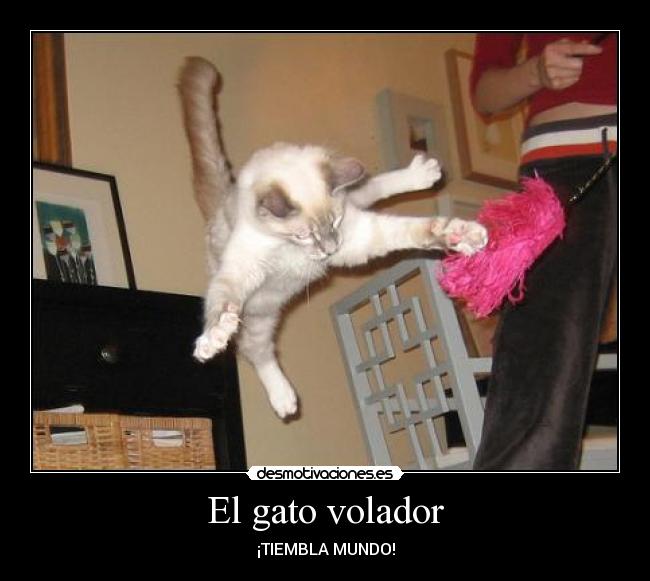 El gato volador - ¡TIEMBLA MUNDO!