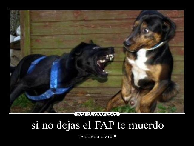 si no dejas el FAP te muerdo - 