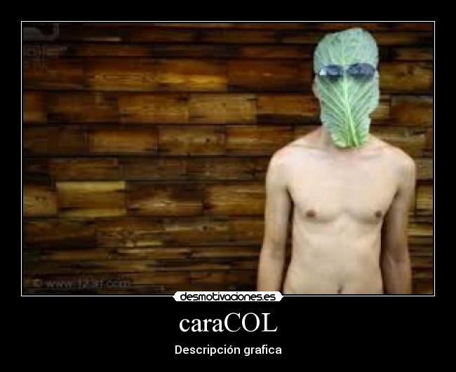 caraCOL - Descripción grafica