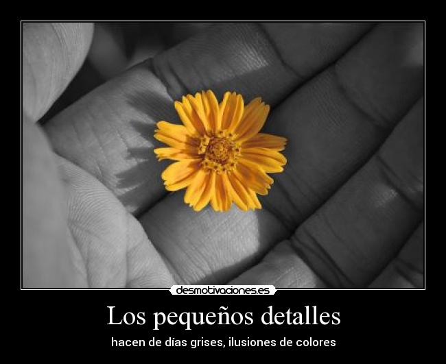 Los pequeños detalles - hacen de días grises, ilusiones de colores