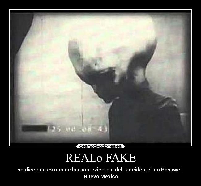 REALo FAKE -