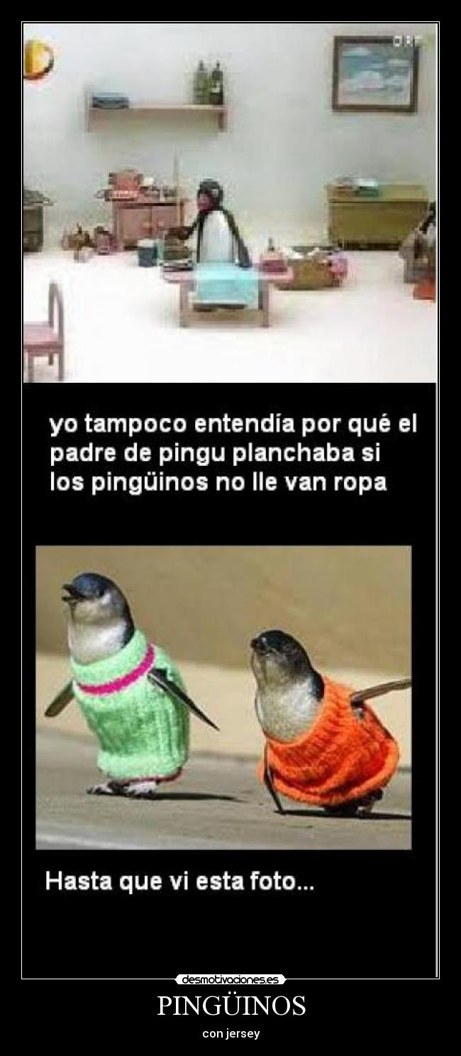 PINGÜINOS - 