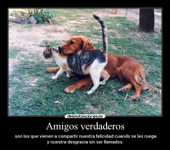 carteles amigos amistad desmotivaciones