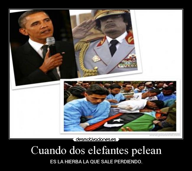 Cuando dos elefantes pelean - ES LA HIERBA LA QUE SALE PERDIENDO.