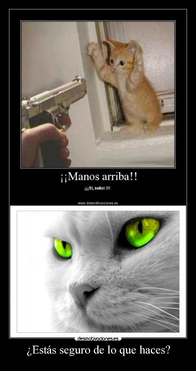 ¿Estás seguro de lo que haces? - 