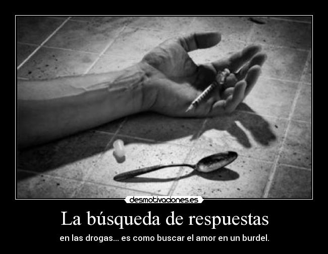 La búsqueda de respuestas -