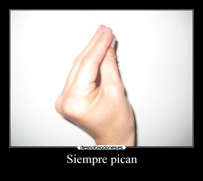 Siempre pican - 