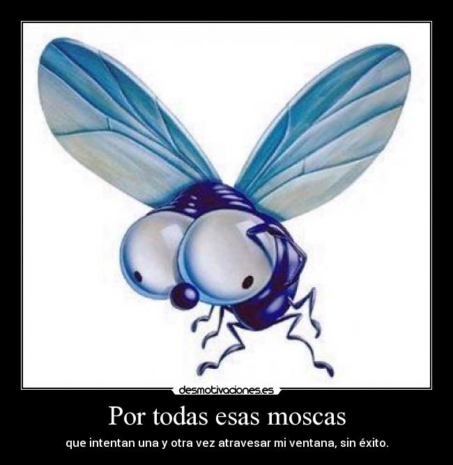 Por todas esas moscas -