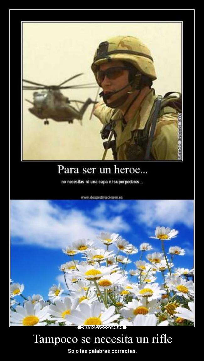 carteles paz desmotivaciones