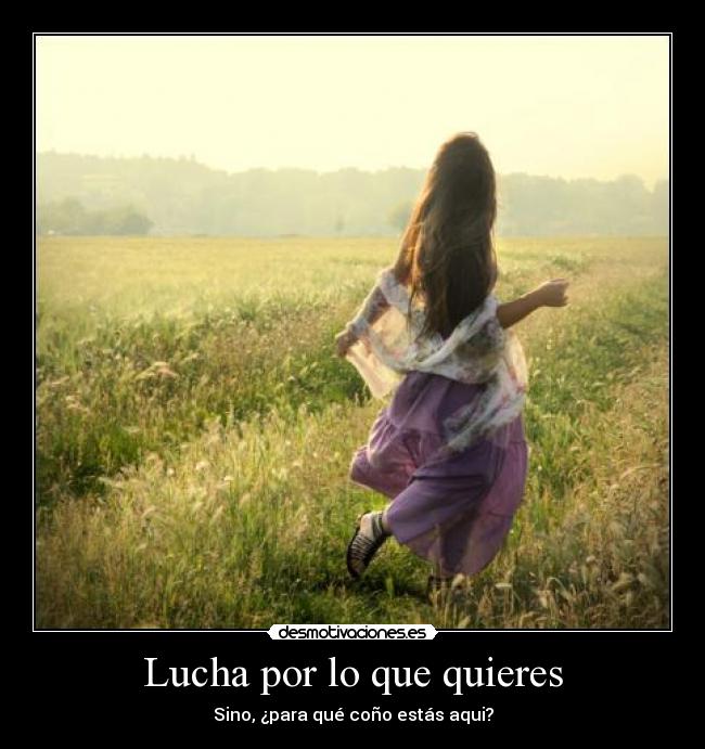 Lucha por lo que quieres -
