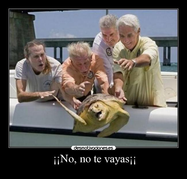 ¡¡No, no te vayas¡¡ -