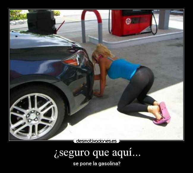 ¿seguro que aquí... -