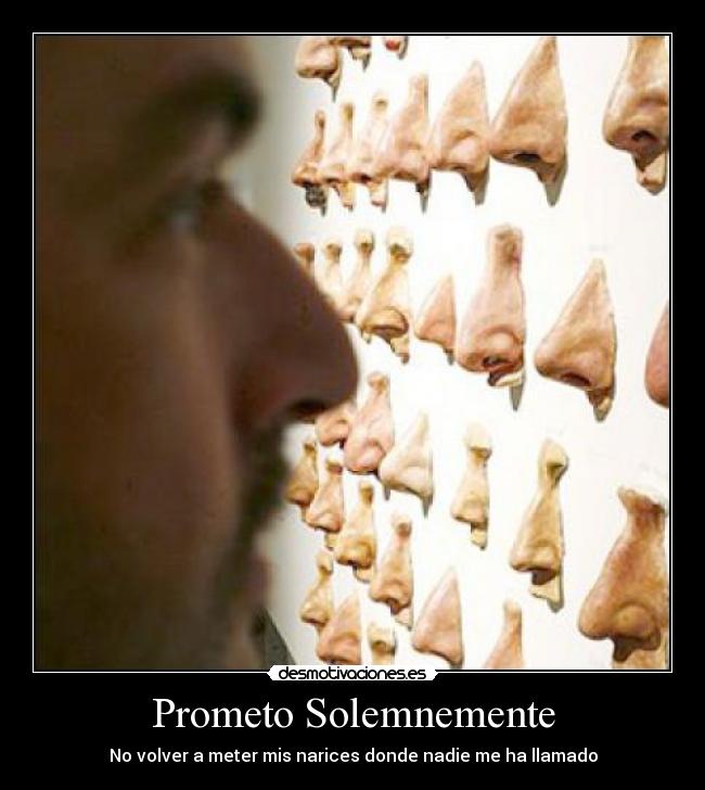 Prometo Solemnemente - No volver a meter mis narices donde nadie me ha llamado