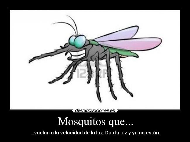 Mosquitos que... - 