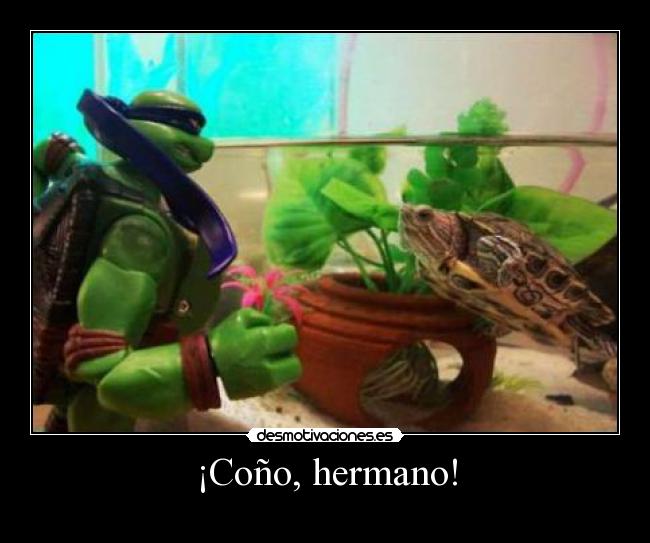 ¡Coño, hermano! - 