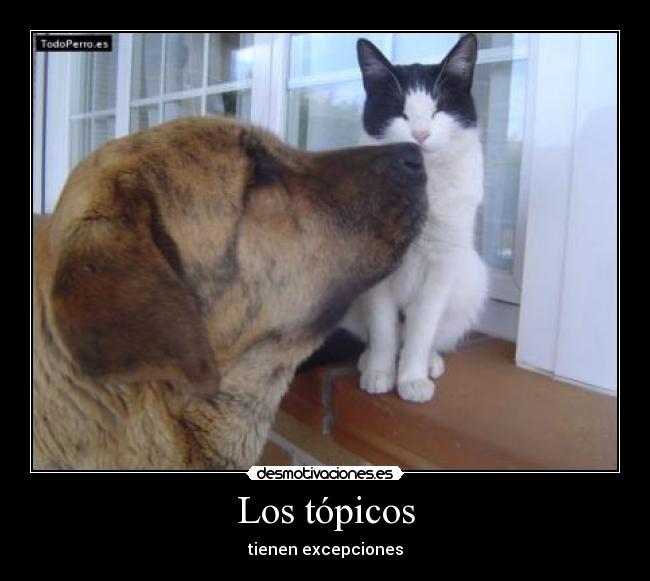 Los tópicos - 