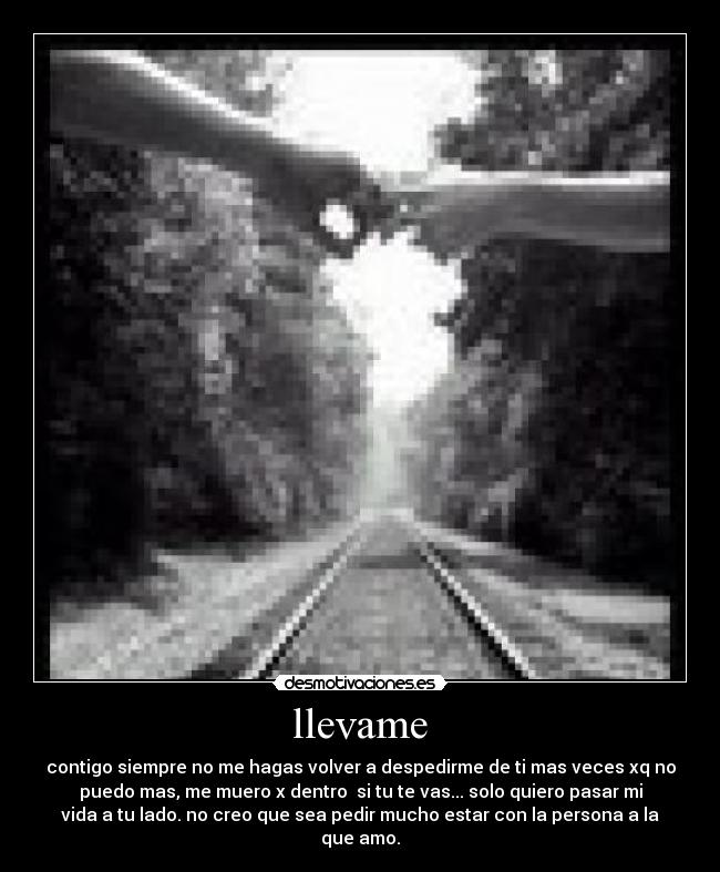 carteles llevame contigo desmotivaciones