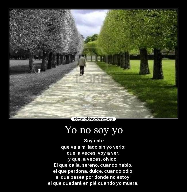 Yo no soy yo -