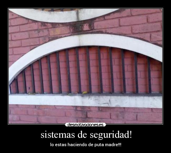 sistemas de seguridad! - lo estas haciendo de puta madre!!!