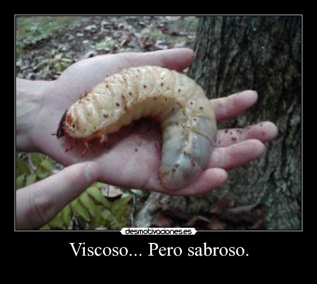 Viscoso... Pero sabroso. -