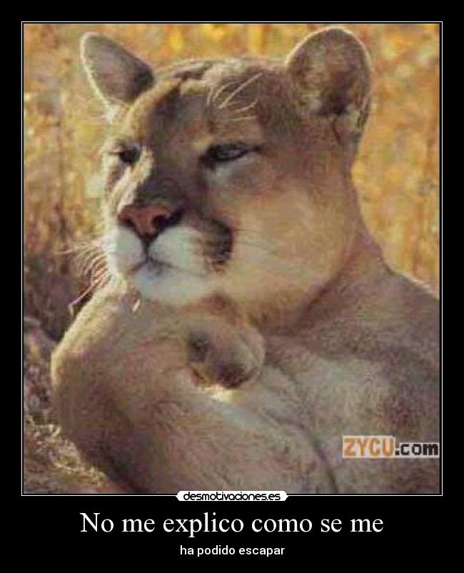 No me explico como se me - 