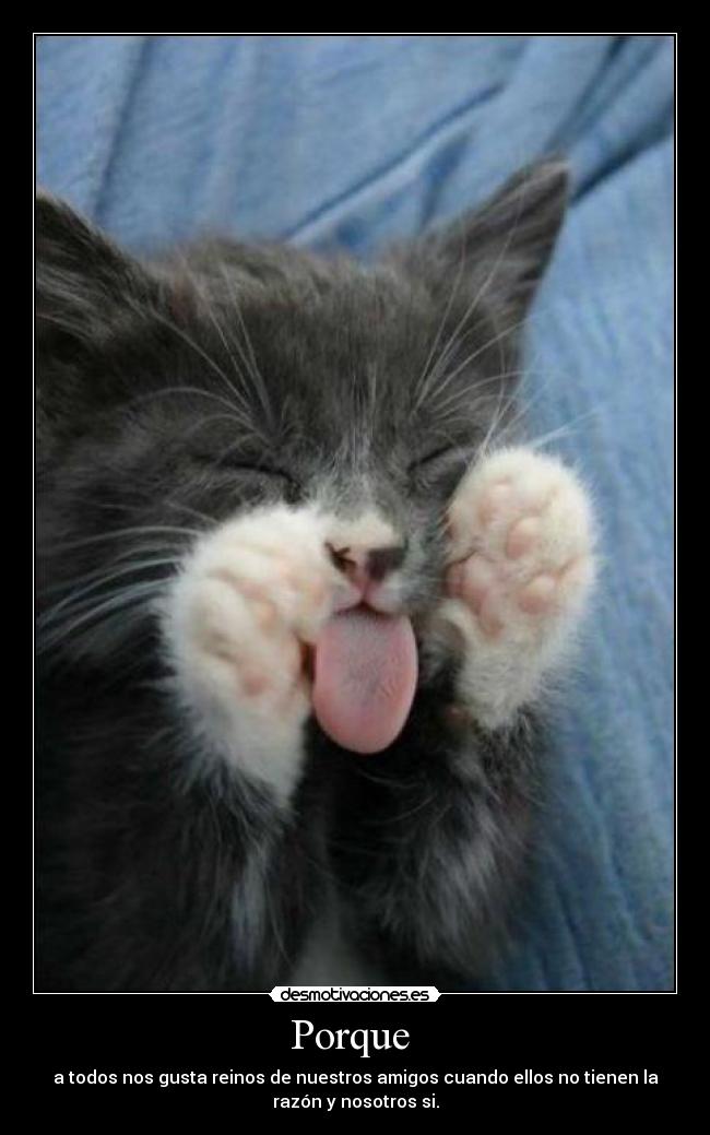 Porque - a todos nos gusta reinos de nuestros amigos cuando ellos no tienen la
razón y nosotros si.