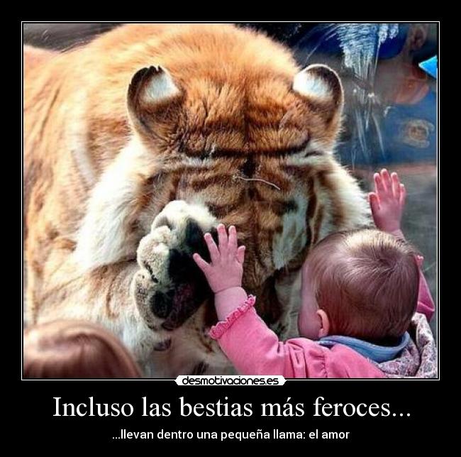 Incluso las bestias más feroces... - ...llevan dentro una pequeña llama: el amor