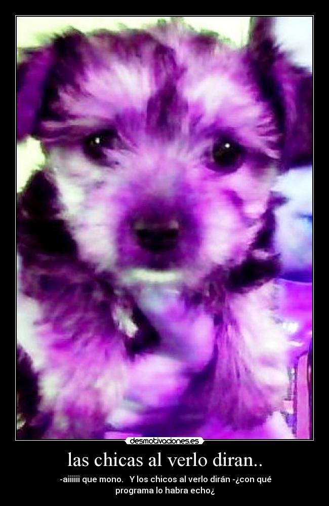 las chicas al verlo diran.. - -aiiiiii que mono. Y los chicos al verlo dirán -¿con qué programa lo habra echo¿