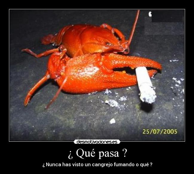 ¿ Qué pasa ? - 